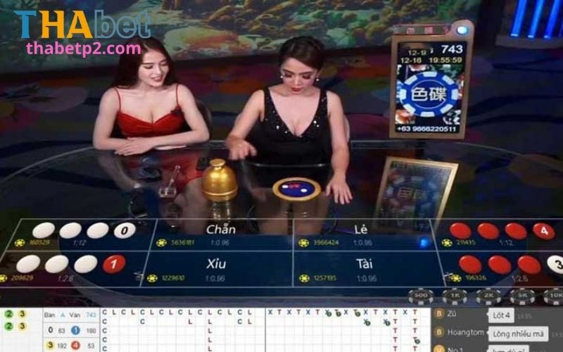 Xóc đĩa Thabet – Trải Nghiệm Game Với Cơ Hội Nhận Thưởng Lớn