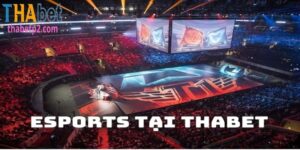 Esports Thabet – Sảnh Game Cá Cược Đẳng Cấp Uy Tín