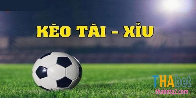 Top 5 tips để thắng khi chơi kèo Tài Xỉu là gì?